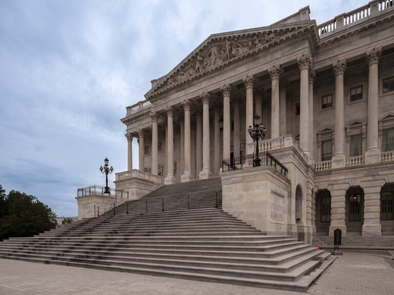 State legislatures challenge federal authority