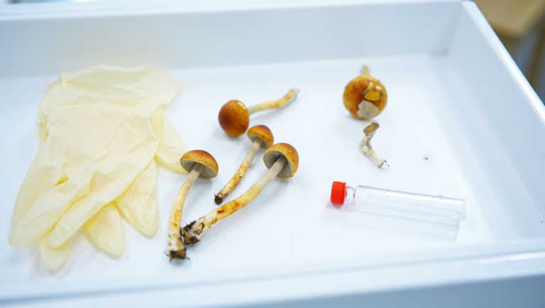 Trump SLAMS FDA Into Fast Tracking Psychedelic Drugs