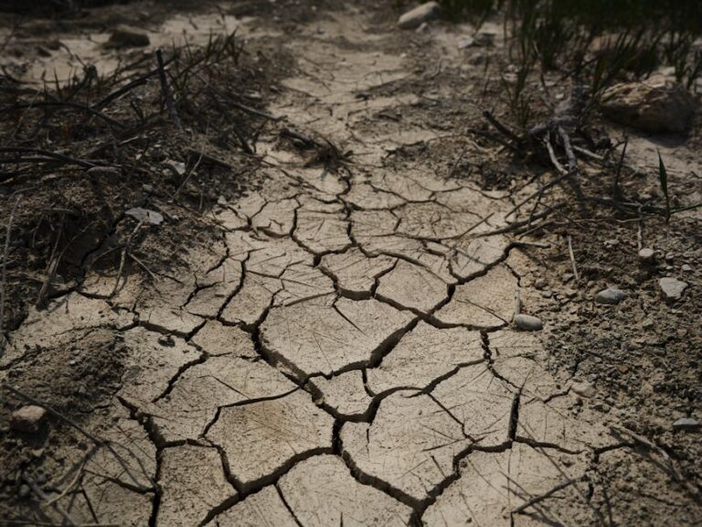 Global heatwave triggers emergency energy rationing