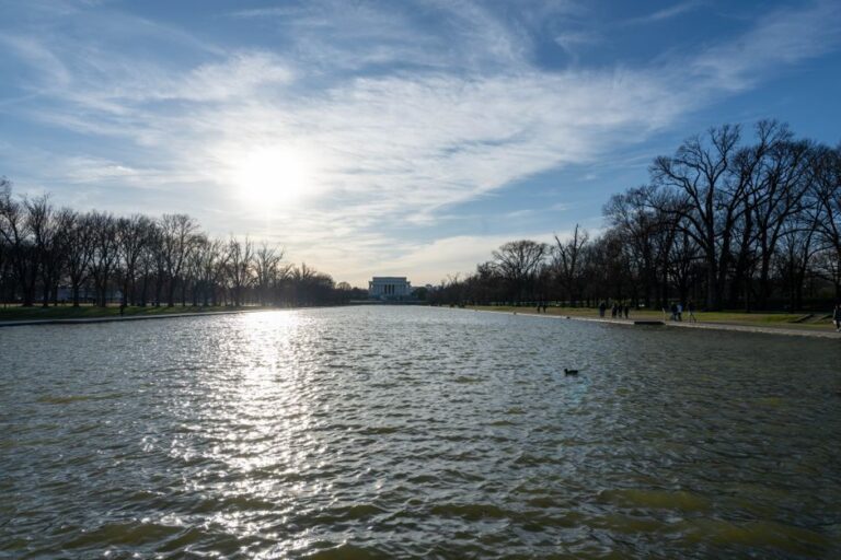 Reflecting Pool STUNS Trump Opponent Into Rare Admission
