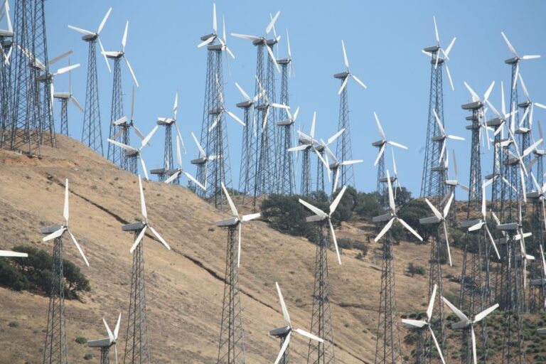Stephen Miller BLASTS Wind Turbines As Assault On God’s Creation