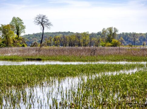 Community Land Trusts: How They Preserve Affordability — Culture & Society coverage by CitizenPost