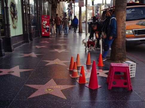 American pop culture icons keep their distance from Trump administration deportation aura farming — Entertainment coverage...