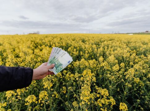 Bond yields crank higher and pull US stocks further from their record — Economy coverage by Daily American Press. Photo: h...